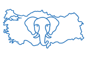 PostgreSql Türkiye